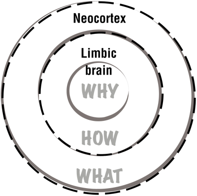 limbic brains
